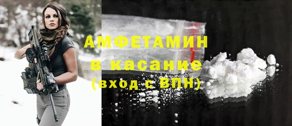 молекула духа Богданович