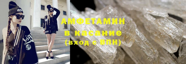молекула духа Богданович