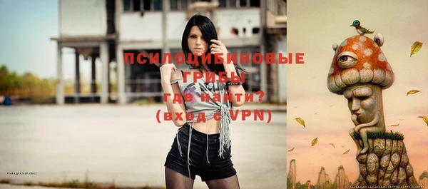 молекула духа Богданович