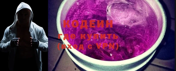 молекула духа Богданович