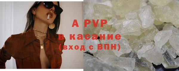 молекула духа Богданович