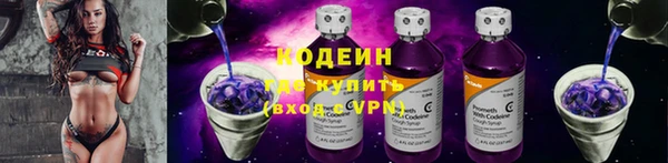 молекула духа Богданович