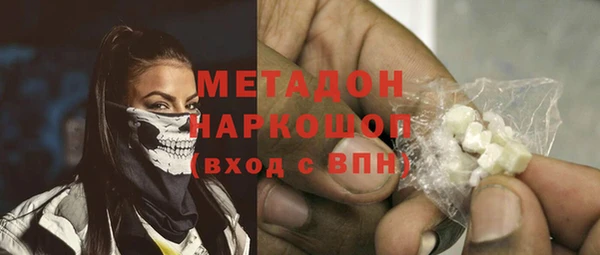 молекула духа Богданович