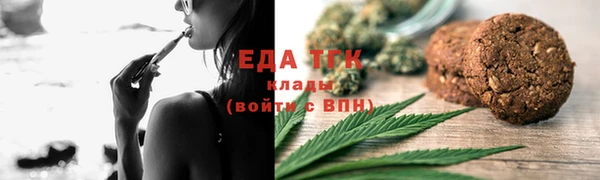 молекула духа Богданович