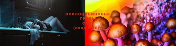 марки lsd Богородицк