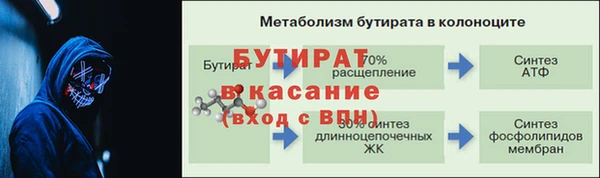 молекула духа Богданович