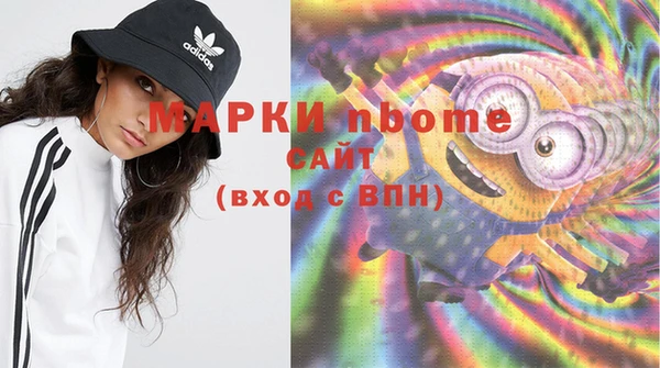 молекула духа Богданович