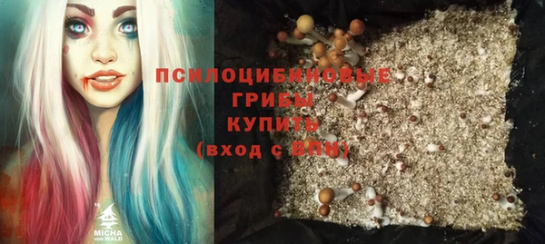 молекула духа Богданович