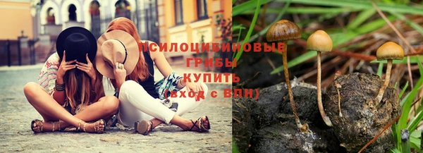 ГАЛЛЮЦИНОГЕННЫЕ ГРИБЫ Богородск