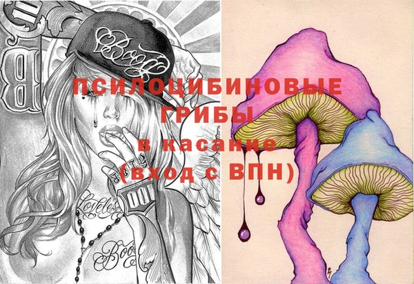 марки lsd Богородицк