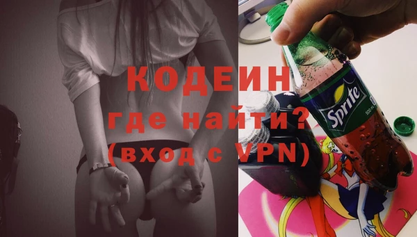 молекула духа Богданович