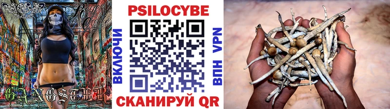даркнет сайт  OMG сайт  Псилоцибиновые грибы ЛСД  Красноярск 
